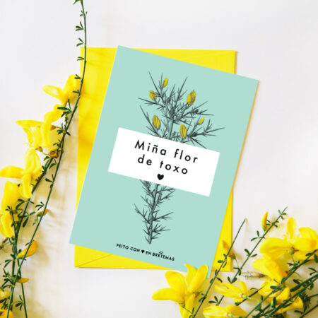 Postal con sobre "Miña flor de toxo"